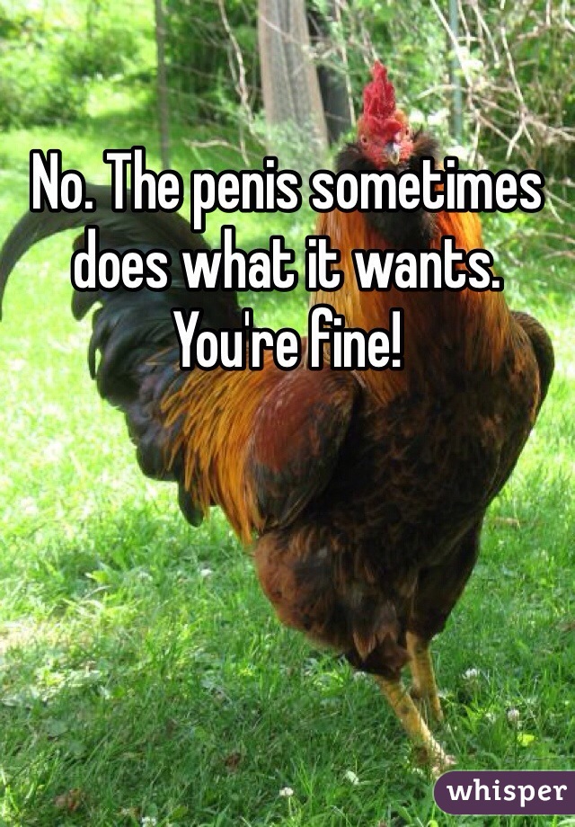 No. The penis sometimes does what it wants. You're fine!