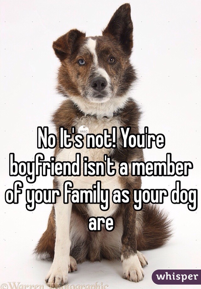 No It's not! You're boyfriend isn't a member of your family as your dog are 