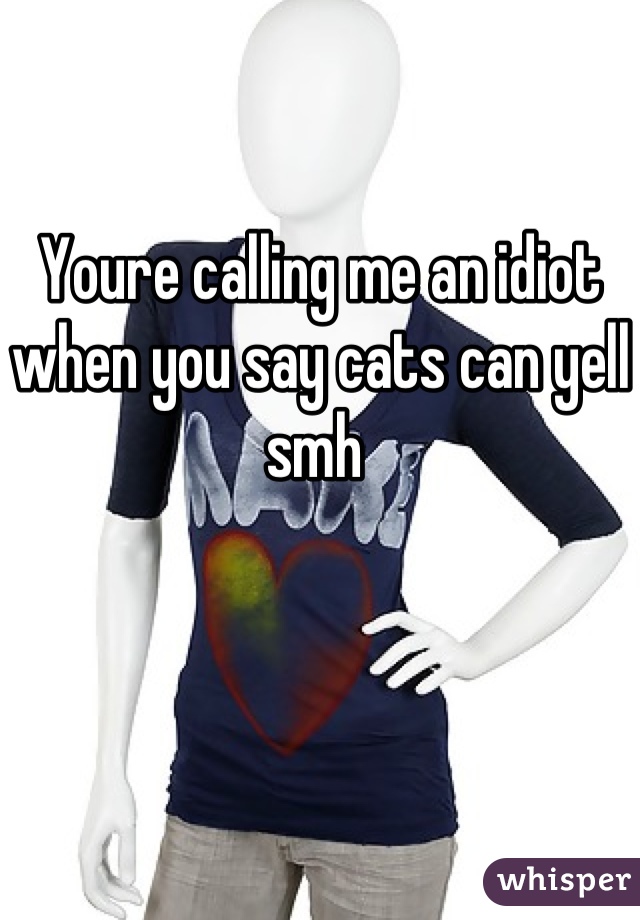 Youre calling me an idiot when you say cats can yell smh 