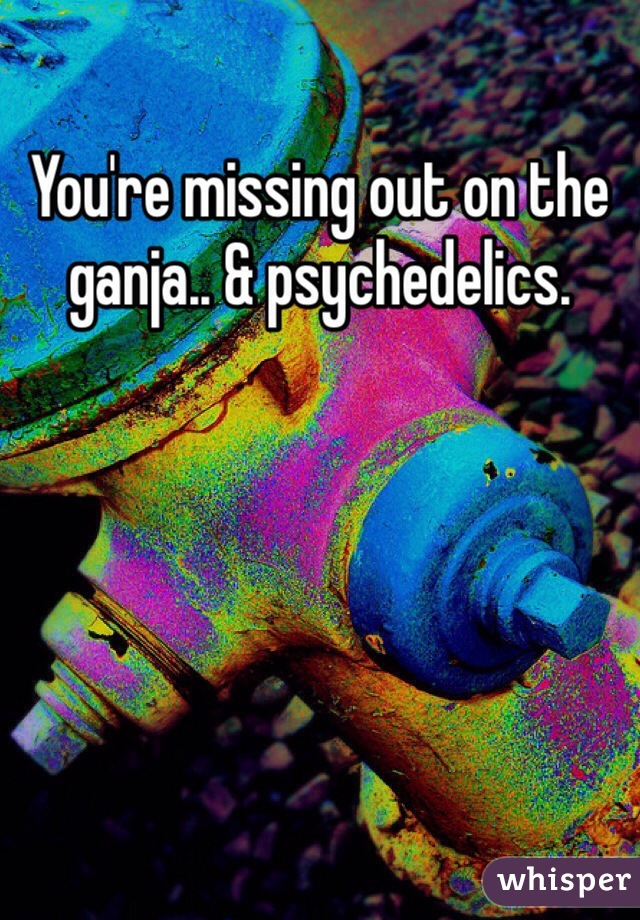 You're missing out on the ganja.. & psychedelics. 