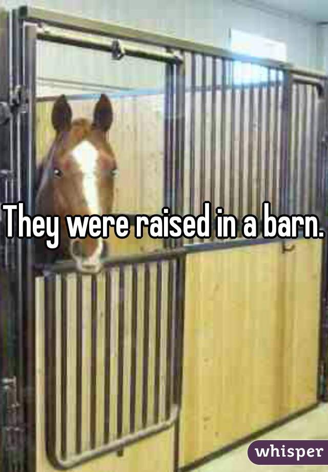 They were raised in a barn.