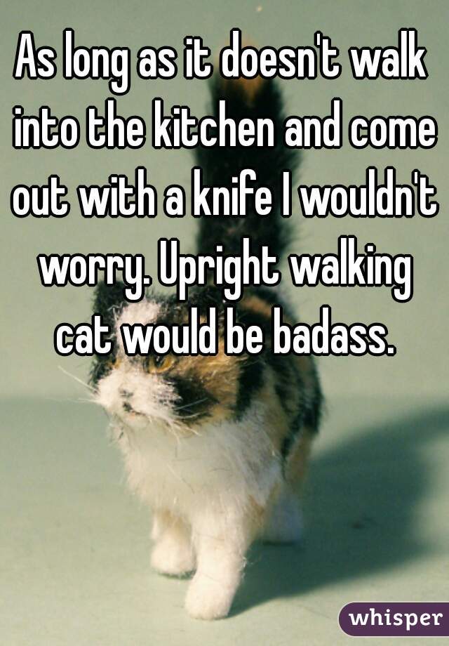 As long as it doesn't walk into the kitchen and come out with a knife I wouldn't worry. Upright walking cat would be badass.