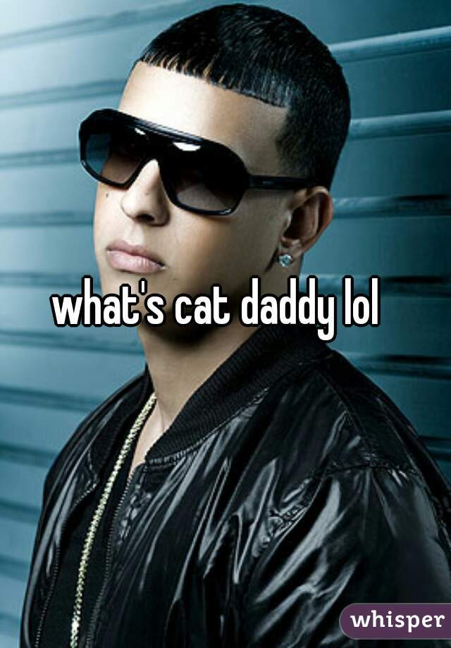 what's cat daddy lol  
