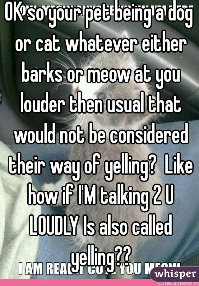 OK so your pet being a dog or cat whatever either barks or meow at you louder then usual that would not be considered their way of yelling?  Like how if I'M talking 2 U LOUDLY Is also called yelling??