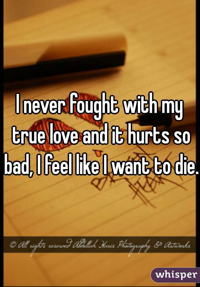 I never fought with my true love and it hurts so bad, I feel like I want to die. 