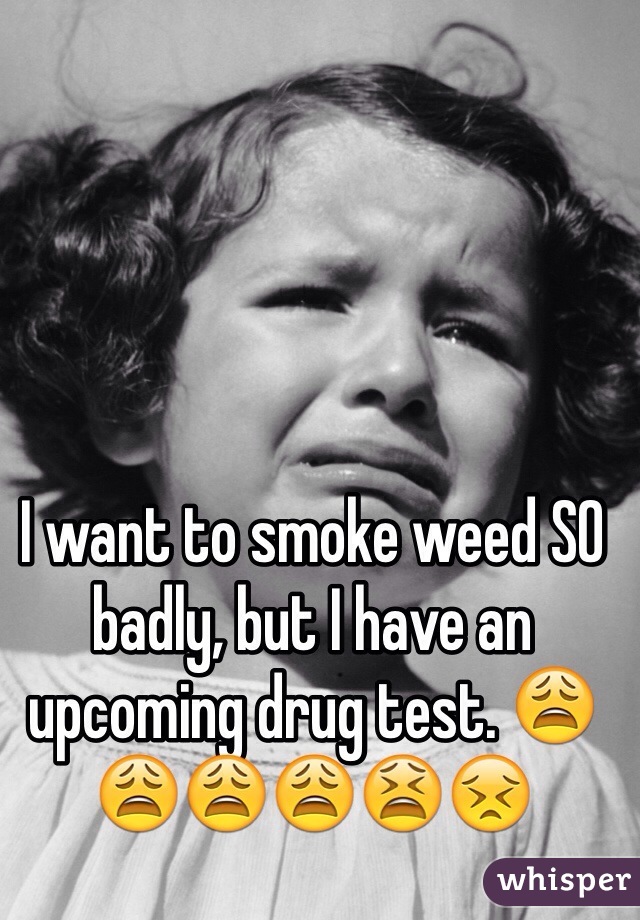 I want to smoke weed SO badly, but I have an upcoming drug test. 😩😩😩😩😫😣