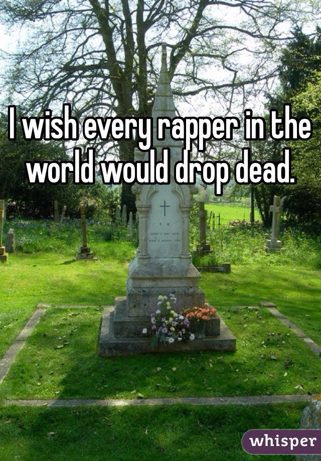 I wish every rapper in the world would drop dead.