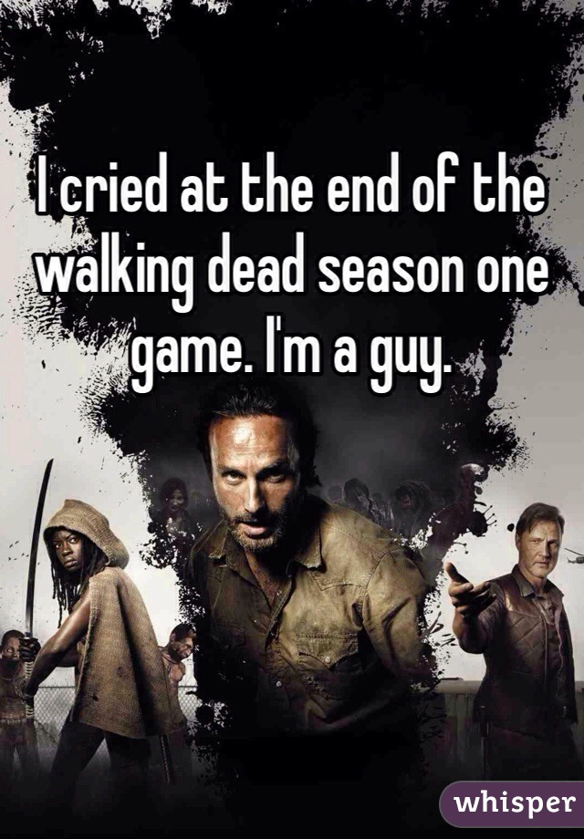 I cried at the end of the walking dead season one game. I'm a guy. 