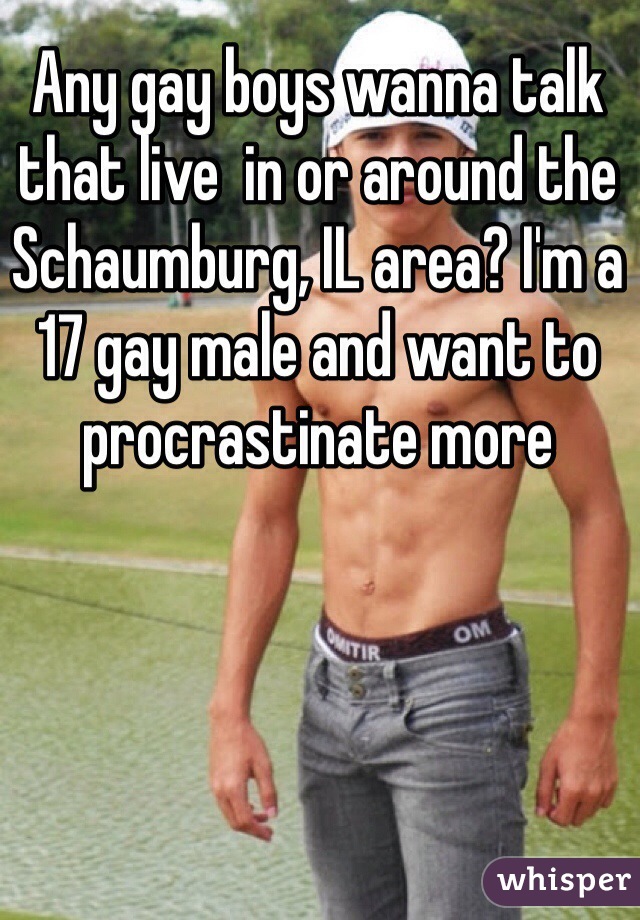 Any gay boys wanna talk that live  in or around the Schaumburg, IL area? I'm a 17 gay male and want to procrastinate more