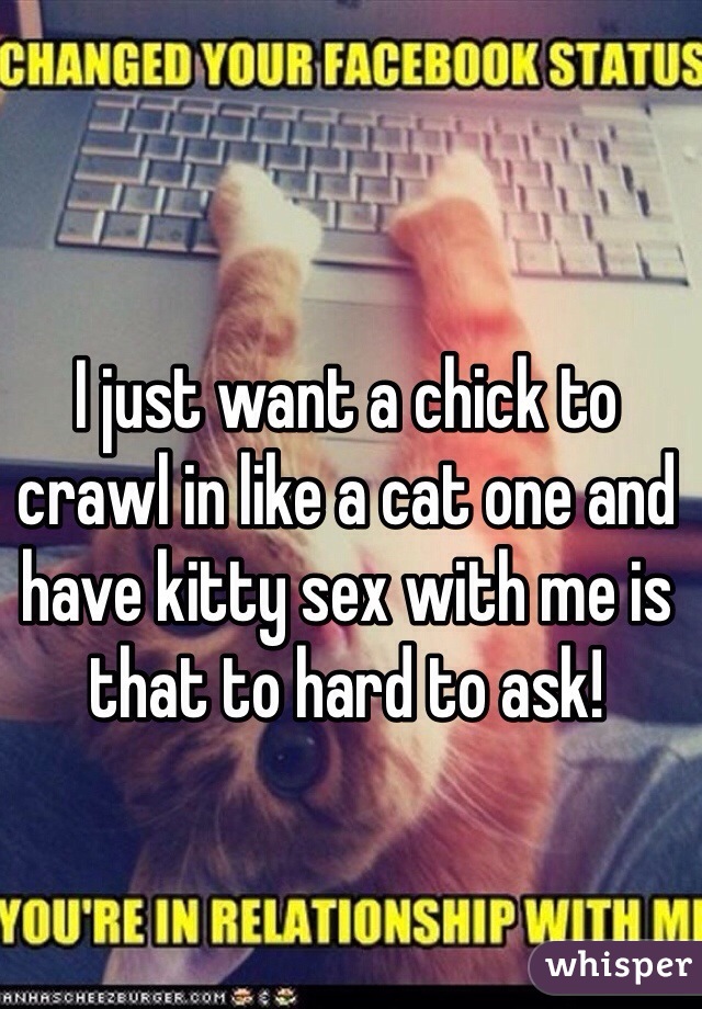 I just want a chick to crawl in like a cat one and have kitty sex with me is that to hard to ask! 