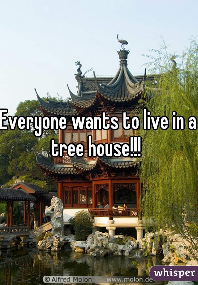 Everyone wants to live in a tree house!!!  