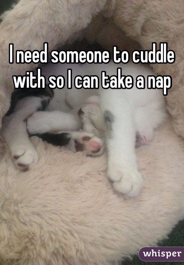I need someone to cuddle with so I can take a nap