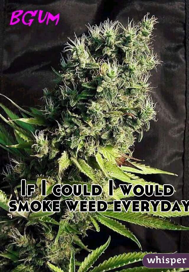 If I could I would smoke weed everyday