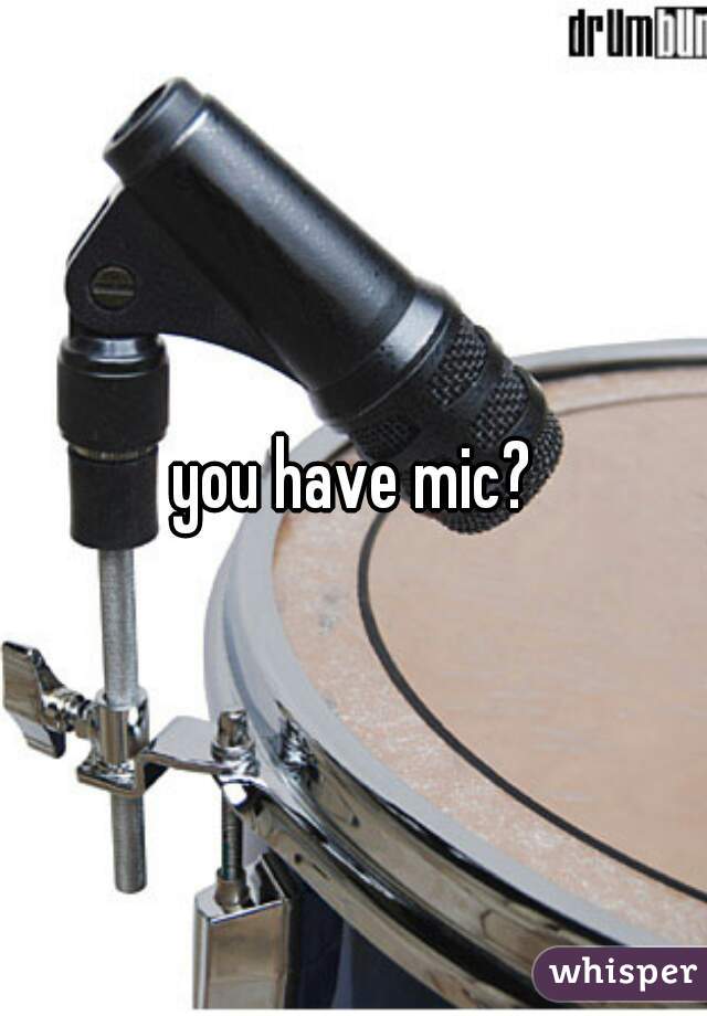 you have mic?