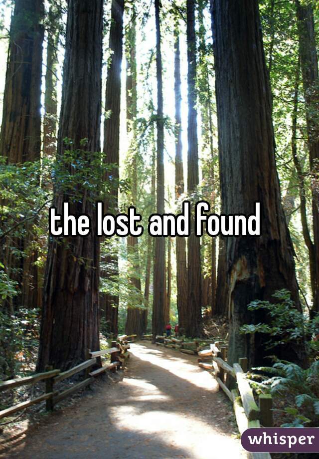 the lost and found 