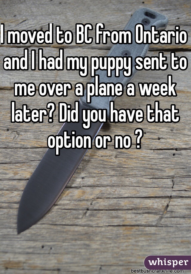 I moved to BC from Ontario and I had my puppy sent to me over a plane a week later? Did you have that option or no ?