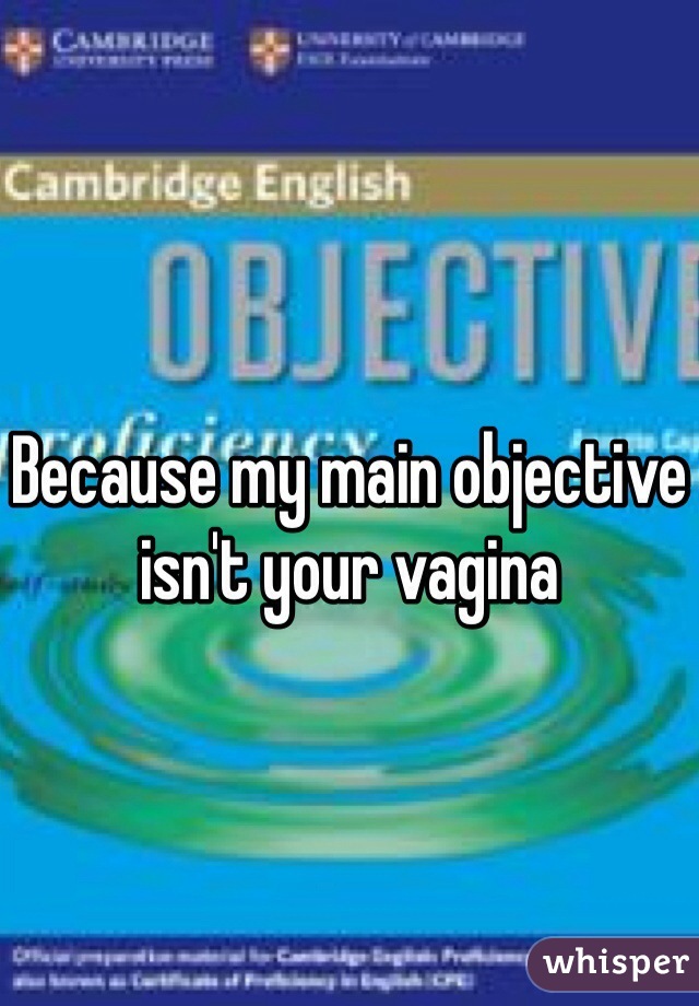 Because my main objective isn't your vagina