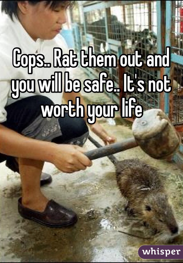Cops.. Rat them out and you will be safe.. It's not worth your life 