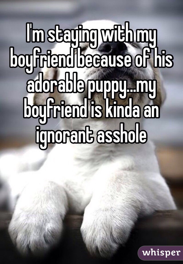 I'm staying with my boyfriend because of his adorable puppy...my boyfriend is kinda an ignorant asshole
