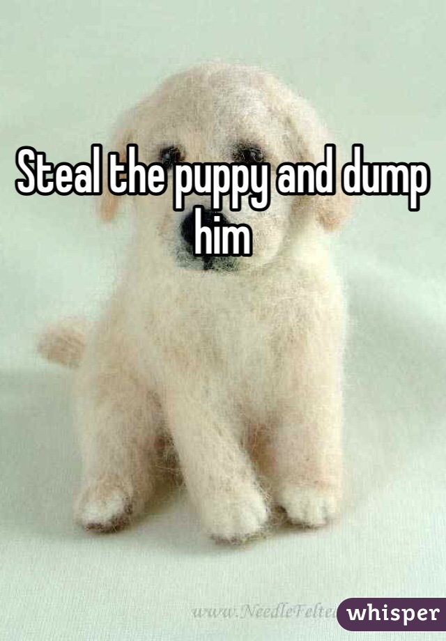 Steal the puppy and dump him