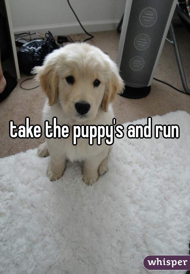 take the puppy's and run