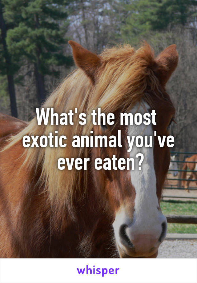 What's the most 
exotic animal you've
 ever eaten?
