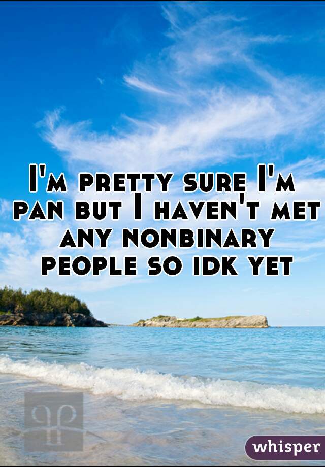 I'm pretty sure I'm pan but I haven't met any nonbinary people so idk yet