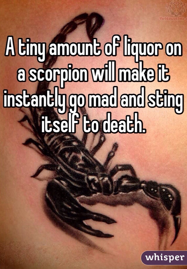 A tiny amount of liquor on a scorpion will make it instantly go mad and sting itself to death.

