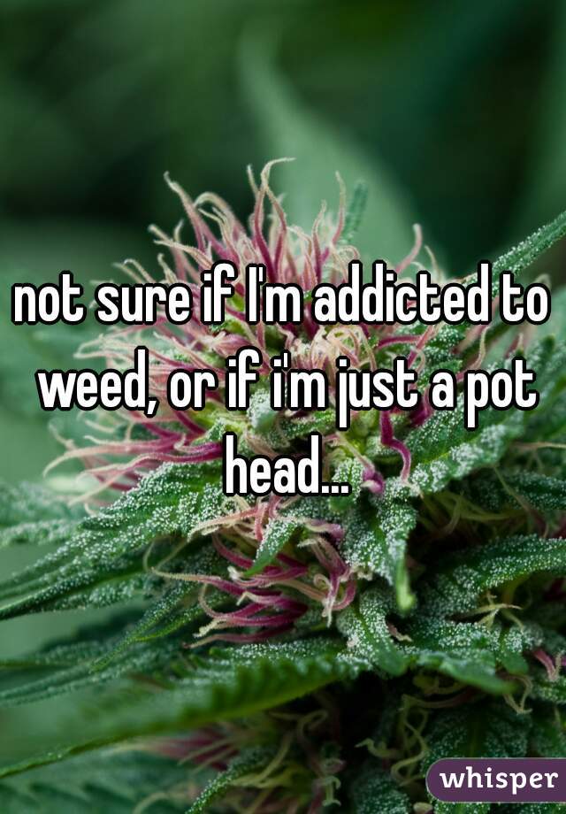 not sure if I'm addicted to weed, or if i'm just a pot head...