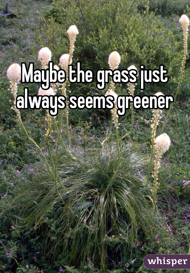 Maybe the grass just always seems greener 