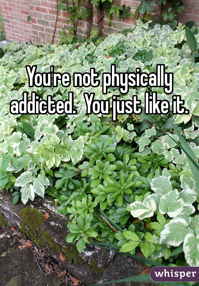 You're not physically addicted.  You just like it.