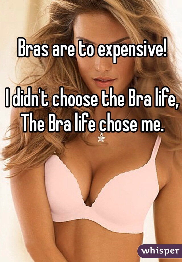 Bras are to expensive!

I didn't choose the Bra life,
The Bra life chose me.