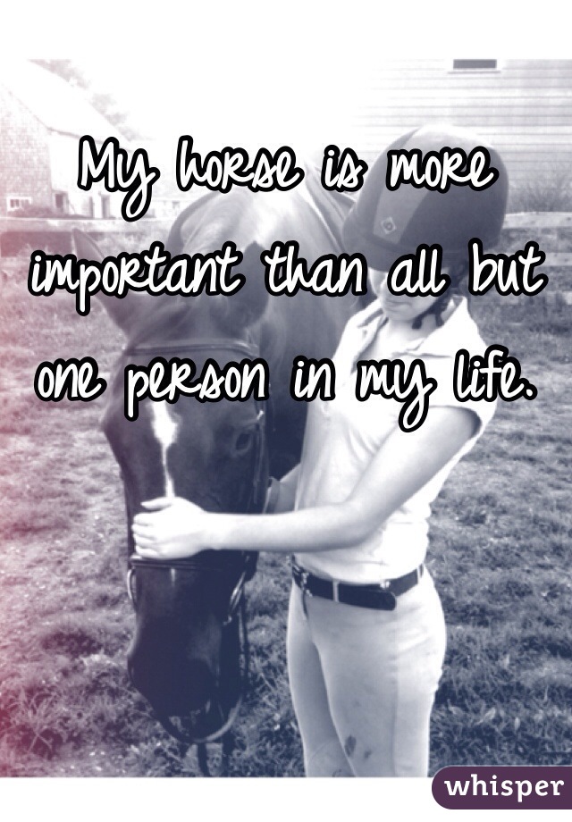 My horse is more important than all but one person in my life.