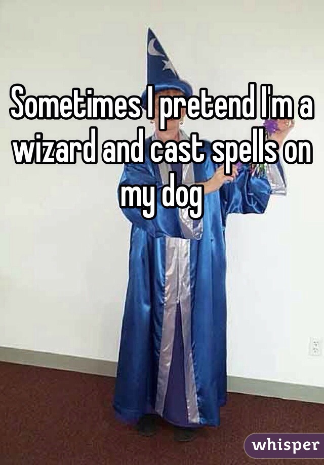 Sometimes I pretend I'm a wizard and cast spells on my dog 