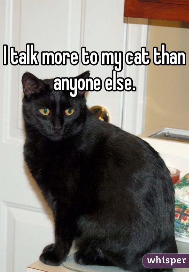 I talk more to my cat than anyone else.