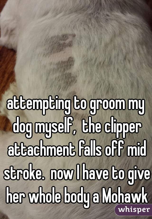attempting to groom my dog myself,  the clipper attachment falls off mid stroke.  now I have to give her whole body a Mohawk