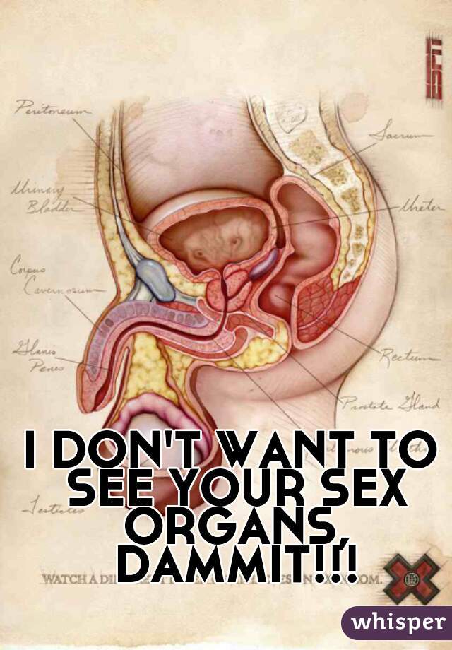 I DON'T WANT TO SEE YOUR SEX ORGANS, DAMMIT!!!