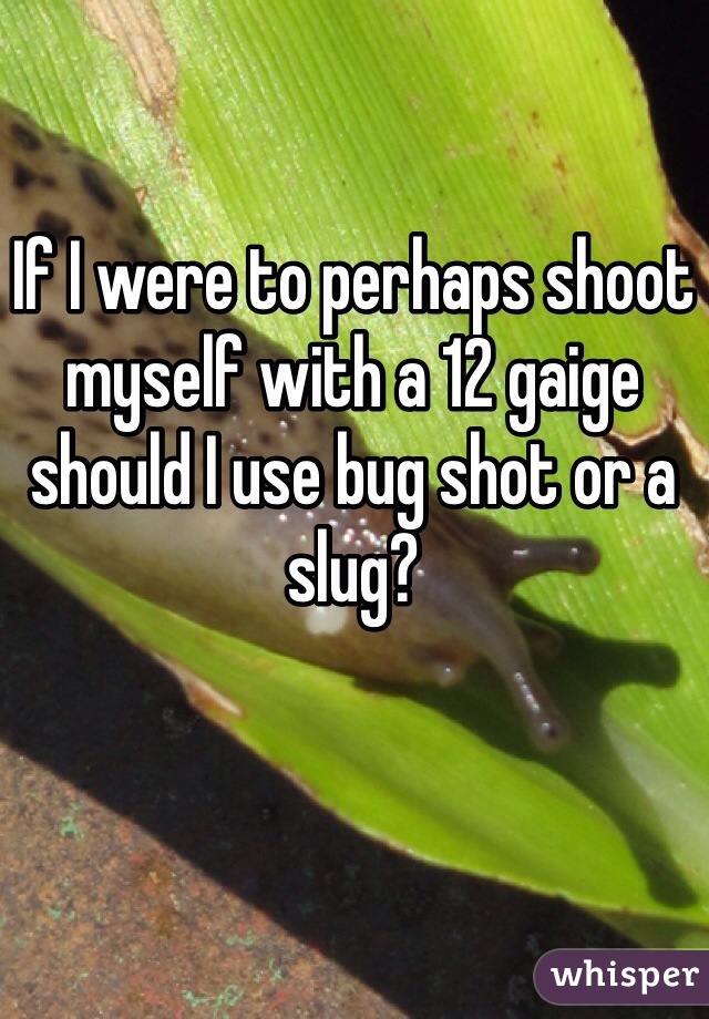 If I were to perhaps shoot myself with a 12 gaige should I use bug shot or a slug?