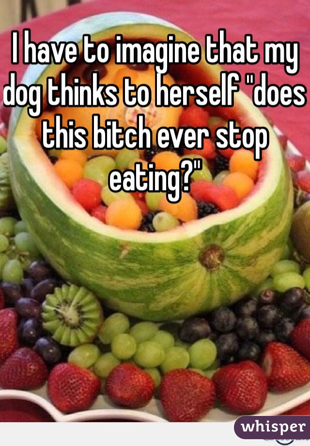 I have to imagine that my dog thinks to herself "does this bitch ever stop eating?"