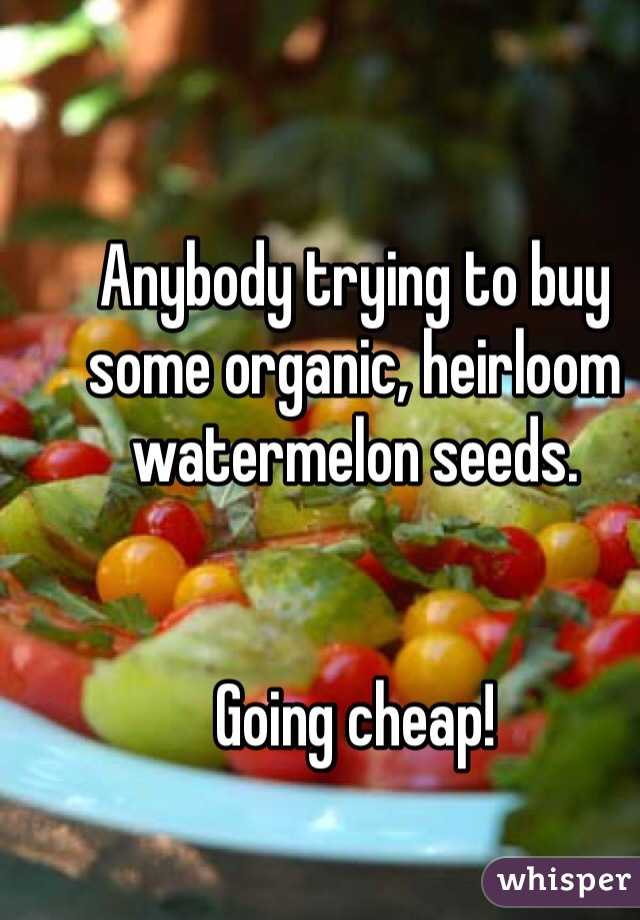Anybody trying to buy some organic, heirloom watermelon seeds.


Going cheap!