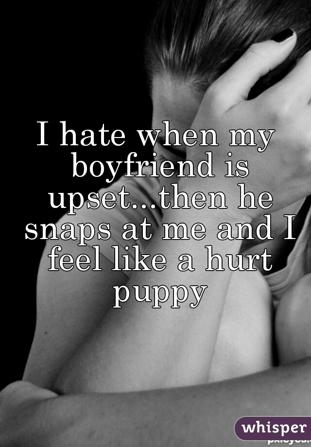 I hate when my boyfriend is upset...then he snaps at me and I feel like a hurt puppy