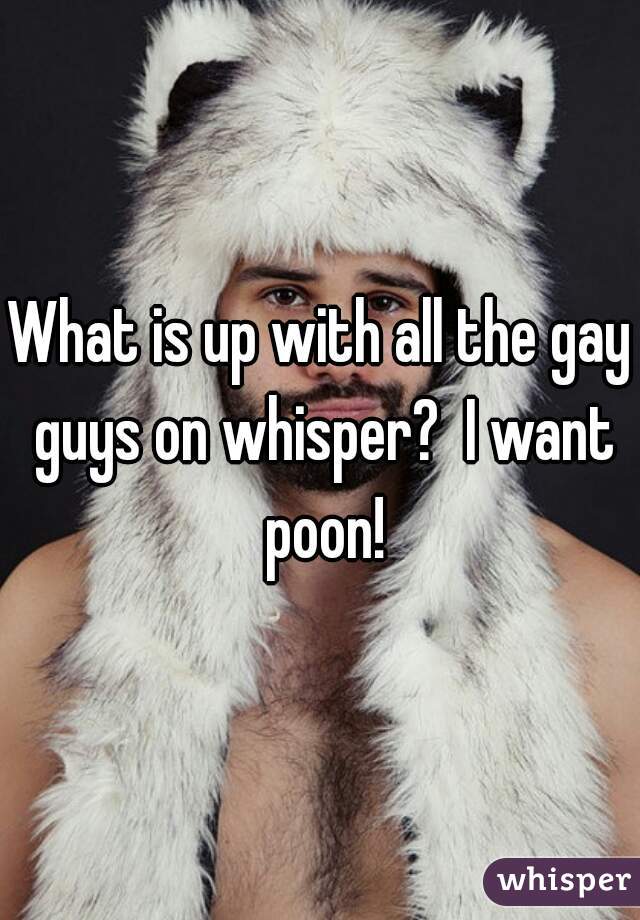 What is up with all the gay guys on whisper?  I want poon!