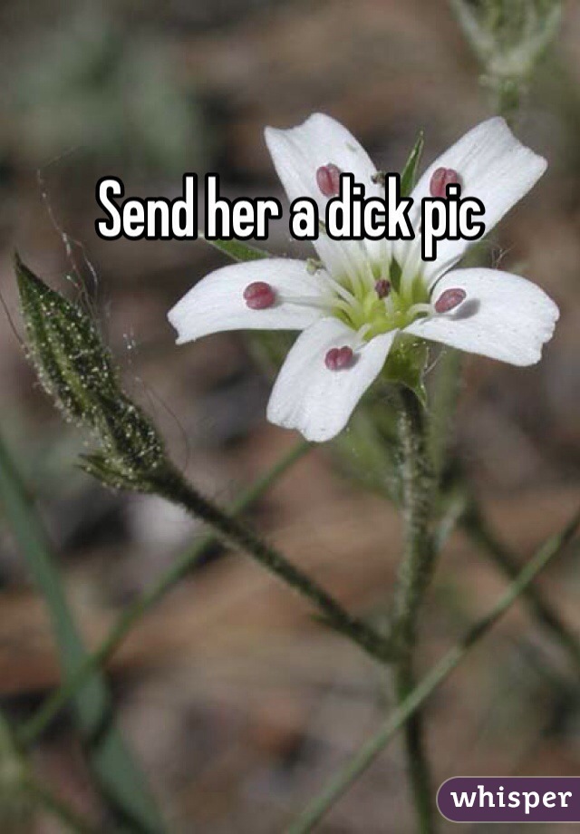 Send her a dick pic