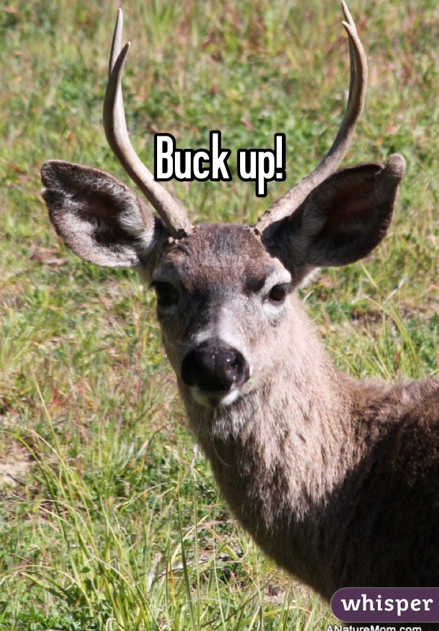 Buck up!