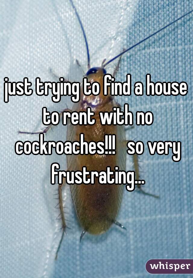 just trying to find a house to rent with no cockroaches!!!   so very frustrating...