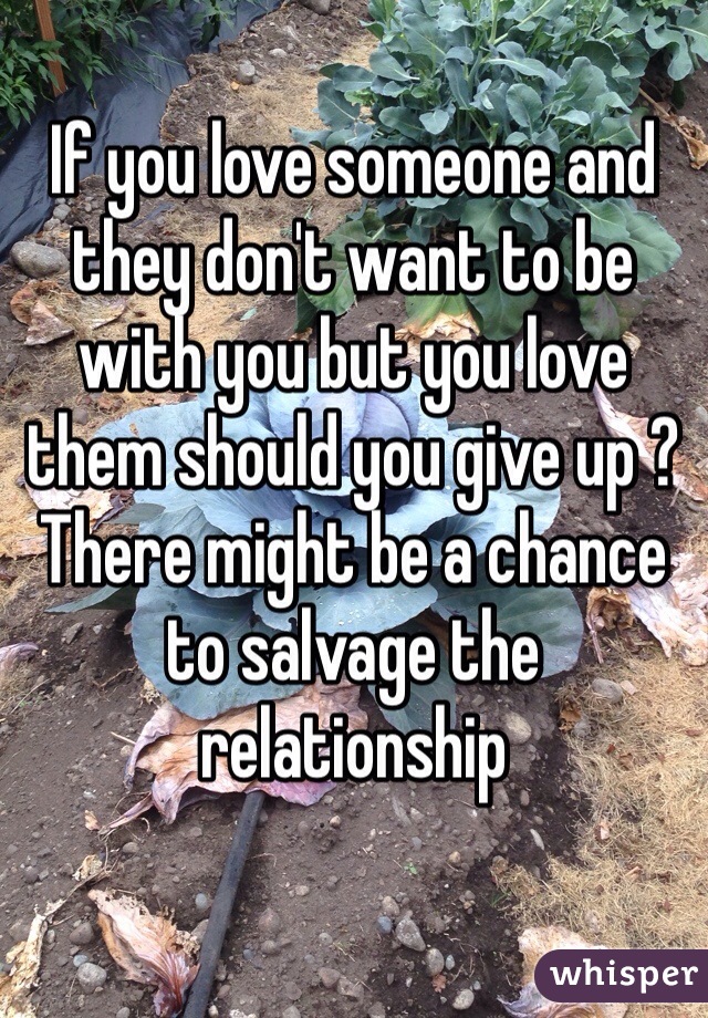 If you love someone and they don't want to be with you but you love them should you give up ? There might be a chance to salvage the relationship 