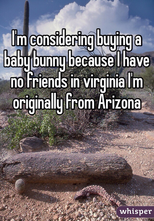 I'm considering buying a baby bunny because I have no friends in virginia I'm originally from Arizona 