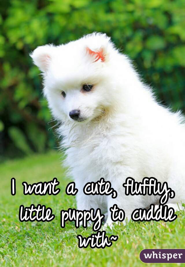 I want a cute, fluffly, little puppy to cuddle with~