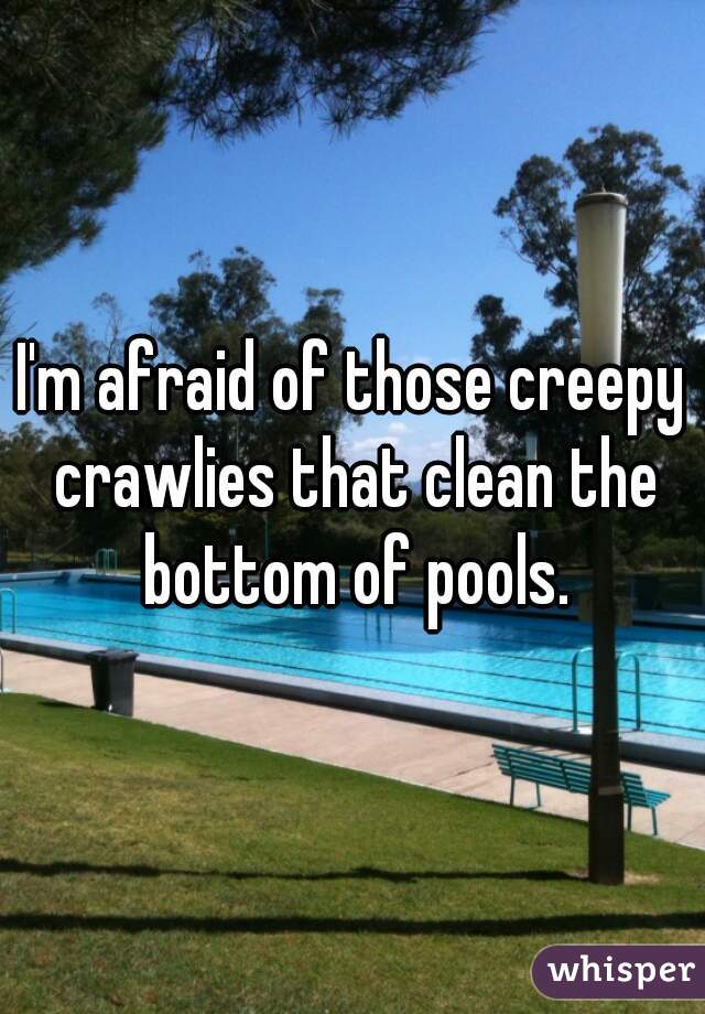 I'm afraid of those creepy crawlies that clean the bottom of pools.