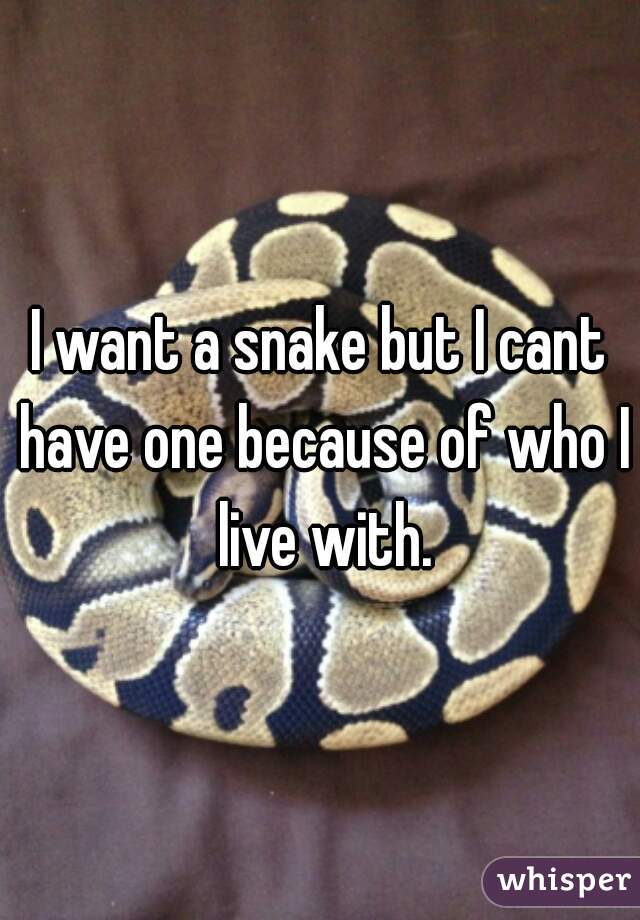 I want a snake but I cant have one because of who I live with.